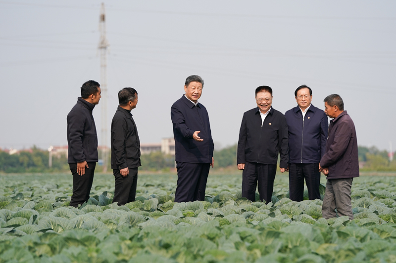 11月4日至6日，中共中央總書記、國家主席、中央軍委主席習(xí)近平在湖北考察。這是5日上午，習(xí)近平在咸寧市嘉魚縣潘家灣鎮(zhèn)十里蔬菜長廊考察時(shí)，走進(jìn)田間，察看蔬菜長勢(shì)。