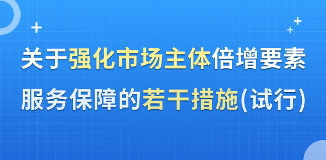 關(guān)于強(qiáng)化市場(chǎng)主體倍增要素服務(wù)保障的若干措施（試行）